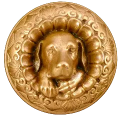 Doggie