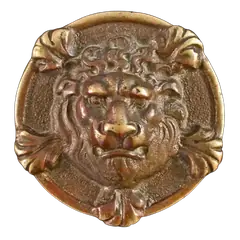 Lion with five paws