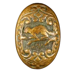 Beaver