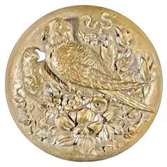 Parrots