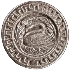 Swan