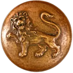 Lion Walking