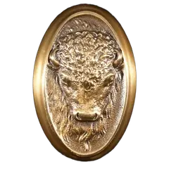 Bison