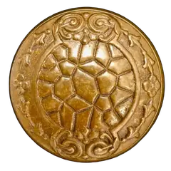 Abronia