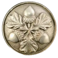 Acorn