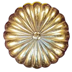 Fluted
