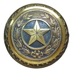 Texas State Seal