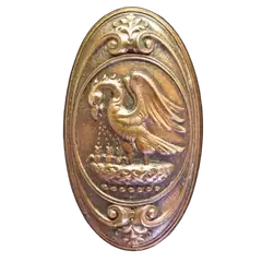 Pelican